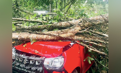 ഓടിക്കൊണ്ടിരുന്ന കാറിന് മുകളിൽ മരം വീണു