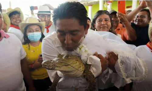 Mexico mayor marries alligator