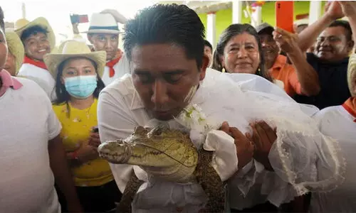 Mexico mayor marries alligator