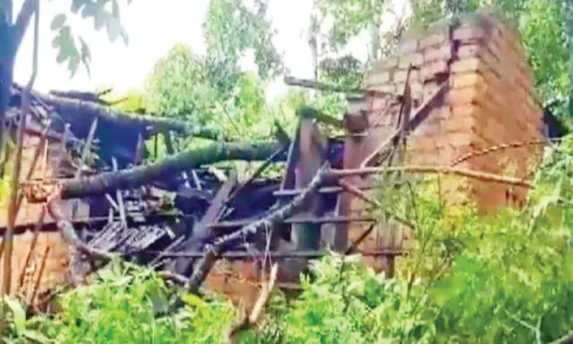 ക​ന​ത്ത മ​ഴ​യി​ൽ തൃ​ക്കൂ​രി​ൽ മ​രം വീ​ണ് വീ​ട് ത​ക​ർ​ന്നു