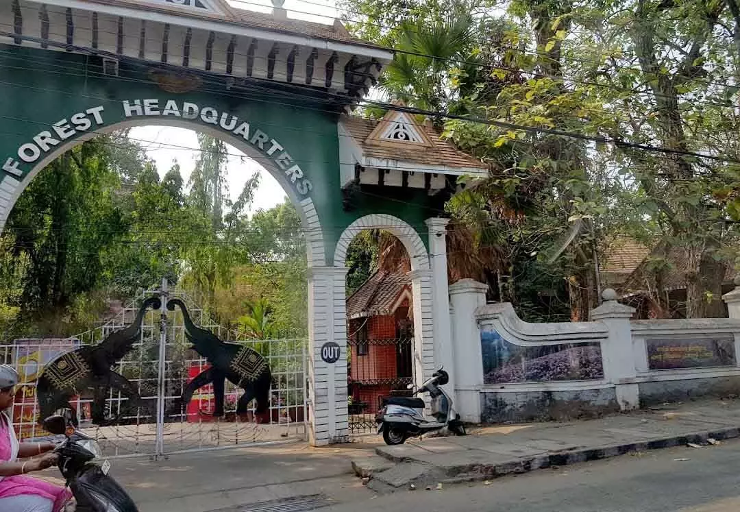 ചന്ദനത്തടിയിൽ തീർത്ത തൊണ്ടിമുതൽ നഷ്ടപ്പെട്ട സംഭവം : ഉദ്യോഗസ്ഥർക്കെതിരെ നടപടിക്ക് നിർദേശം ചന്ദനത്തടിയിൽ തീർത്ത തൊണ്ടിമുതൽ നഷ്ടപ്പെട്ട സംഭവം : ഉദ്യോഗസ്ഥർക്കെതിരെ നടപടിക്ക് നിർദേശം