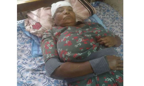 തൊഴിലുറപ്പ് തൊഴിലാളിക്ക് കാട്ടുപന്നിയുടെ കുത്തേറ്റു