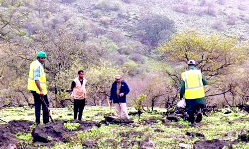 വൃക്ഷതൈ നടീൽ; ദോഫാറിൽ രണ്ടാം ഘട്ടത്തിന്​ തുടക്കം