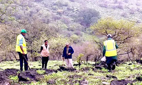 വൃക്ഷതൈ നടീൽ; ദോഫാറിൽ രണ്ടാം ഘട്ടത്തിന്​ തുടക്കം