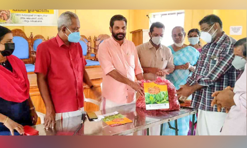 തെക്കേക്കര ഗ്രാമപഞ്ചായത്തിന്റെ മാവര റൈസ് വിപണിയിലേക്ക് തെക്കേക്കര ഗ്രാമപഞ്ചായത്തിന്റെ മാവര റൈസ് വിപണിയിലേക്ക്