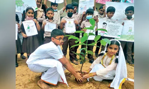 ബഷീർ സ്മൃതിയിൽ മാംഗോസ്റ്റീൻ തൈ നട്ട് വിദ്യാർഥികൾ