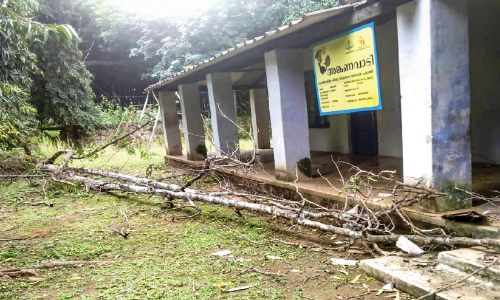 അ​ംഗൻവാ​ടി മു​റ്റ​ത്തേ​ക്ക് മ​രം വീ​ണു; ത​ല​നാ​രി​ഴ​ക്ക്​ അ​പ​ക​ടം ഒ​ഴി​വാ​യി