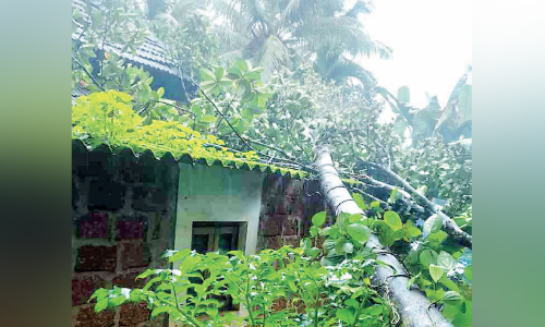 മരങ്ങള്‍ വീണ് രണ്ട് വീട് തകര്‍ന്നു