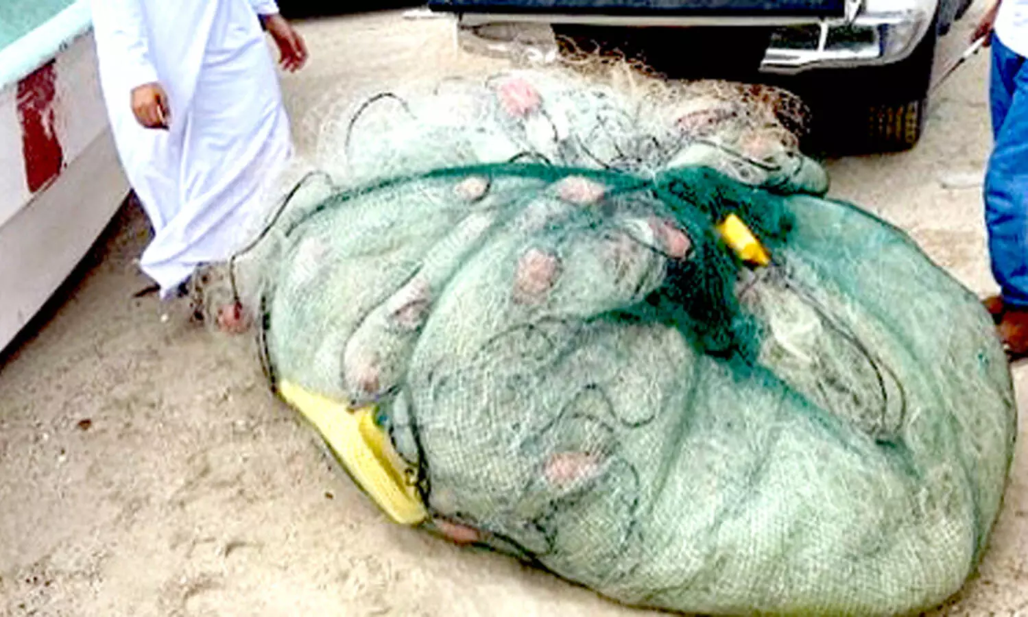 നിരോധിത വലകൾ പിടിച്ചെടുത്തു