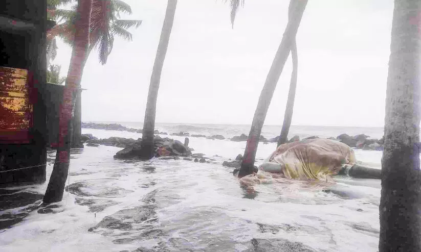 കടലേറ്റം; രണ്ടാം ദിവസവും റോഡ് ഉപരോധിച്ചു കടലേറ്റം; രണ്ടാം ദിവസവും റോഡ് ഉപരോധിച്ചു