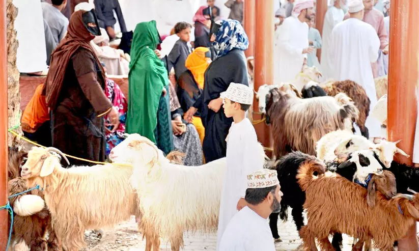 ബലിപെരുന്നാൾ: ഈദ്ഹബ്തകൾ സജീവം ബലിപെരുന്നാൾ: ഈദ്ഹബ്തകൾ സജീവം