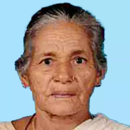 പാ​പ്പാ​ത്തി