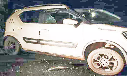 വിനോദസഞ്ചാരികളുടെ വാഹനത്തിനുനേരെ കാട്ടാന ആക്രമണം