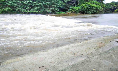 അച്ചൻകോവിലാറ്റിൽ ജലനിരപ്പ് ഉയരുന്നു; താഴ്ന്ന പ്രദേശങ്ങളിൽ വെള്ളം കയറി