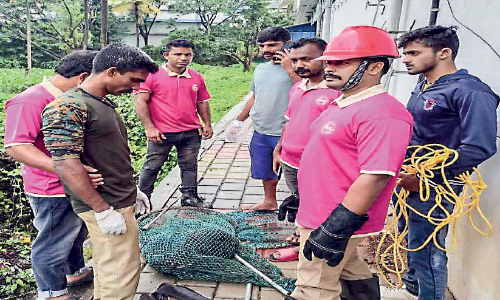 നാടിനെ വിറപ്പിച്ച തെരുവുനായ് ഒടുവിൽ പിടിയിൽ