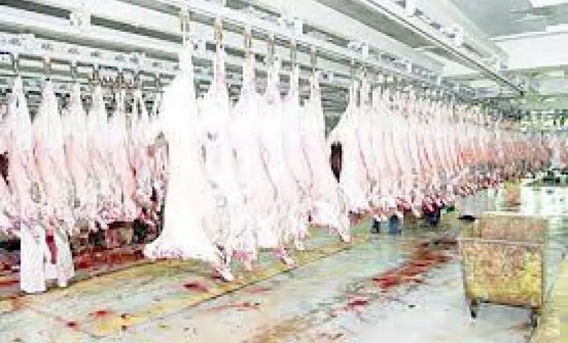 അനധികൃത അറവ് കേന്ദ്രങ്ങൾ: 700 ദീനാർ പിഴയെന്ന് മുന്നറിയിപ്പ് അനധികൃത അറവ് കേന്ദ്രങ്ങൾ: 700 ദീനാർ പിഴയെന്ന് മുന്നറിയിപ്പ്