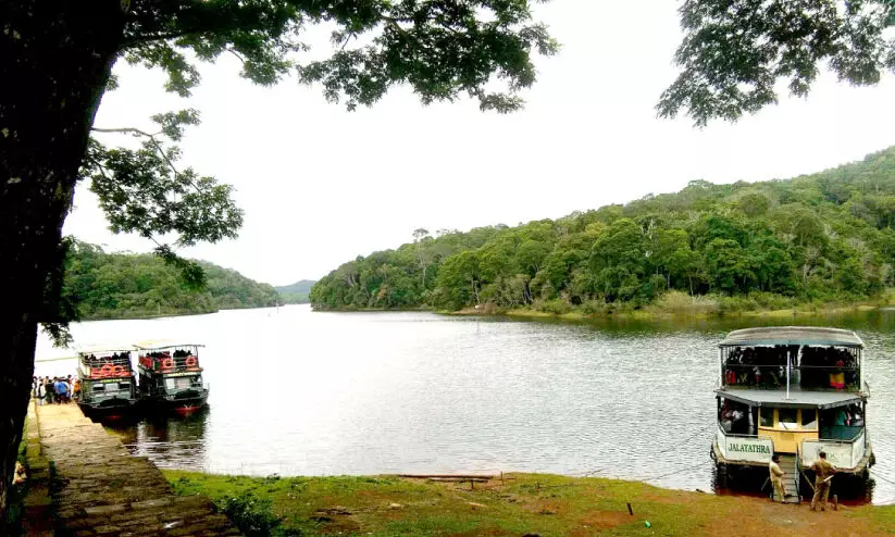 മഴ, മണ്ണിടിച്ചിൽ, ദുരിതം