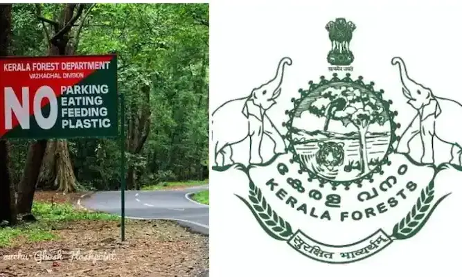 നഷ്ടപ്പെട്ടെന്ന് കരുതിയ ചന്ദനവിഗ്രഹങ്ങൾ റേഞ്ച് ഓഫിസിലെ സ്ട്രോങ് മുറിയിൽ