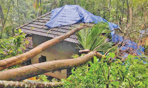 കോഴിക്കോട് കനത്ത മഴ; 20 വീടുകൾ തകർന്നു