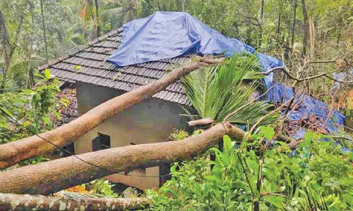 കോഴിക്കോട് കനത്ത മഴ; 20 വീടുകൾ തകർന്നു