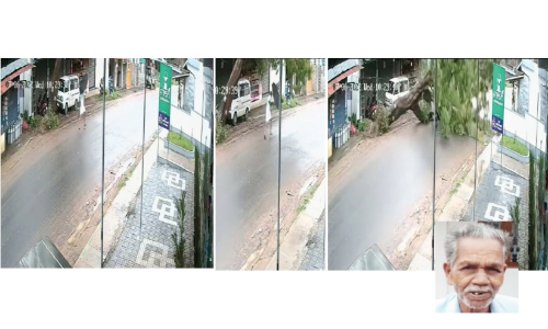 കുഞ്ഞുമോൻ രക്ഷപ്പെട്ടു; നിമിഷങ്ങളുടെ വ്യത്യാസത്തിൽ