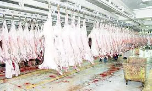 അനധികൃത അറവ് കേന്ദ്രങ്ങൾ: 700 ദീനാർ പിഴയെന്ന് മുന്നറിയിപ്പ്