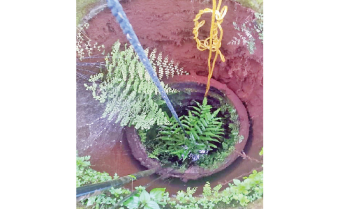 കനത്ത മഴ: കിണറിടിഞ്ഞു, മരങ്ങൾ കടപുഴകി