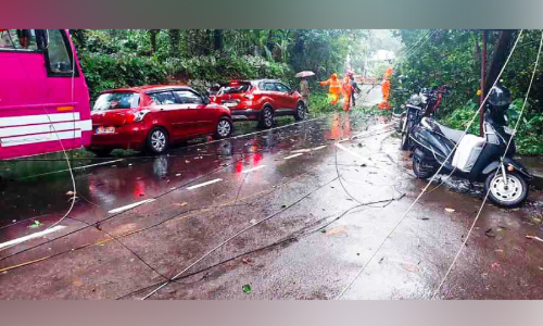 അപകട പരമ്പര; ബസിടിച്ച് വൈദ്യുതി പോസ്റ്റുകളും ഓട്ടോയും തകര്‍ന്നു