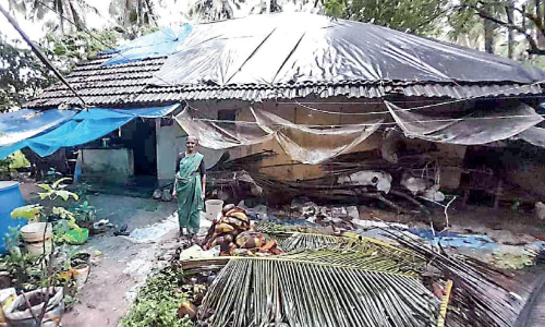 സുഭദ്രമ്മക്ക് സ്വസ്ഥമായി അന്തിയുറങ്ങാൻ വേണം അടച്ചുറപ്പുള്ള വീട്