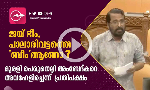 ജയ് ഭീം, പാലാരിവട്ടത്തെ ബീം ആണോ? മുരളി പെരുനെല്ലി അംബേദ്കറെ അവഹേളിച്ചെന്ന് പ്രതിപക്ഷം