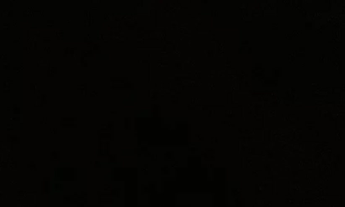 കണ്ണൂരിൽ തെങ്ങ് വീണ് വയോധികക്ക് ദാരുണാന്ത്യം