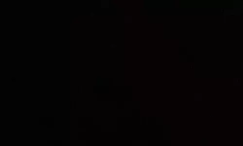 കണ്ണൂരിൽ തെങ്ങ് വീണ് വയോധികക്ക് ദാരുണാന്ത്യം