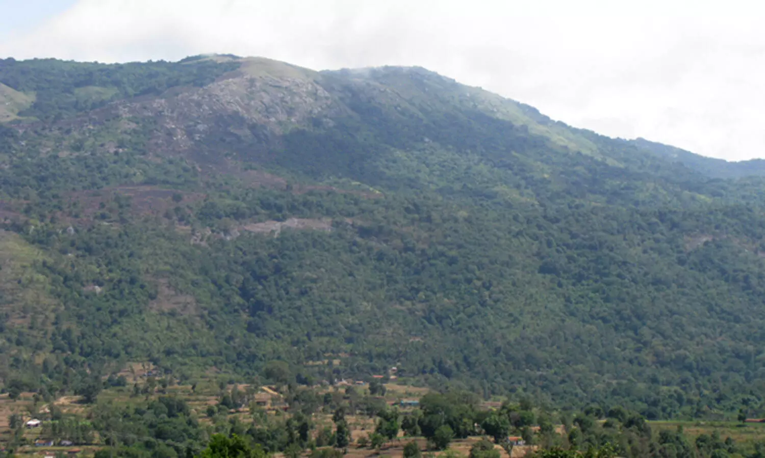 അട്ടപ്പാടിയിൽ കൃഷിക്ക് 2016- 2021ൽ ചെലവഴിച്ചത് 21.13 കോടി