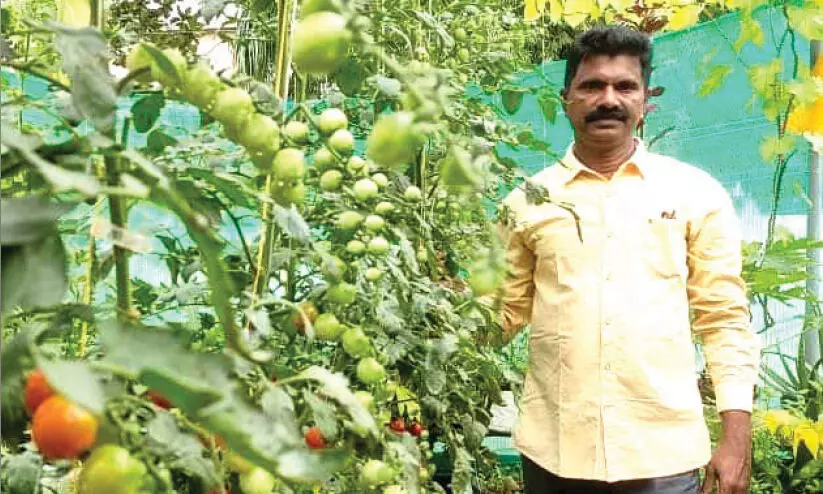 C Hariharan Organic Farming