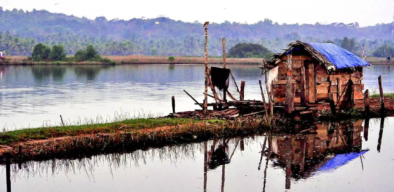 പെരിങ്ങീൽ