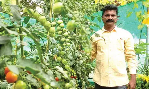 C Hariharan Organic Farming