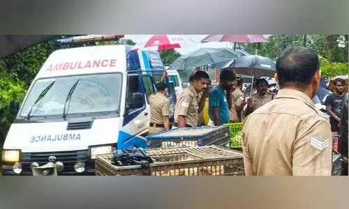 അലക്യം അപകടം: പാച്ചേനിക്ക് കണ്ണീർ പ്രഭാതം അലക്യം അപകടം: പാച്ചേനിക്ക് കണ്ണീർ പ്രഭാതം