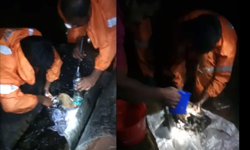 ഹൃദയ ഭേദകം ആ കാഴ്ച... തലയൊഴികെ ശരീരം മുഴുവൻ ടാറിൽ ​പുതഞ്ഞ് നായ്ക്കുട്ടി, അരികിൽ ദൈന്യതയോടെ അമ്മ നായ്; രക്ഷകരായി ഫയർഫോഴ്സ്