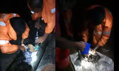 ഹൃദയ ഭേദകം ആ കാഴ്ച... തലയൊഴികെ ശരീരം മുഴുവൻ ടാറിൽ ​പുതഞ്ഞ് നായ്ക്കുട്ടി, അരികിൽ ദൈന്യതയോടെ അമ്മ നായ്; രക്ഷകരായി ഫയർഫോഴ്സ്