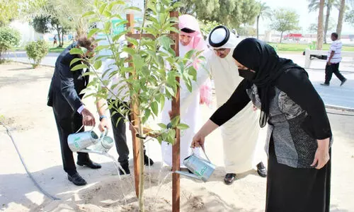 ഹ​രി​ത​വ​ത്​​ക​ര​ണം: 49,000 വൃ​ക്ഷ​ത്തൈ​ക​ൾ ന​ട്ടു