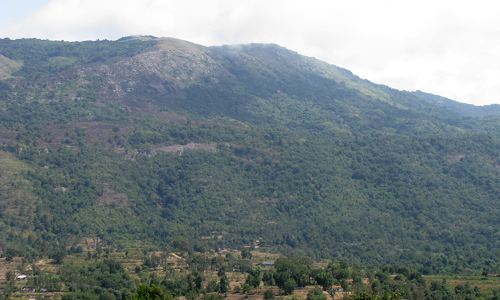 അട്ടപ്പാടിയിൽ കൃഷിക്ക് 2016- 2021ൽ ചെലവഴിച്ചത് 21.13 കോടി