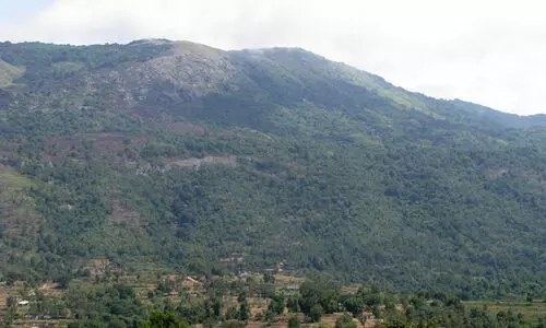 അട്ടപ്പാടിയിൽ കൃഷിക്ക് 2016- 2021ൽ ചെലവഴിച്ചത് 21.13 കോടി