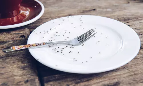 പ്രാണിശല്യവും ശുചിത്വക്കുറവും;  ഭക്ഷണശാല അടച്ചുപൂട്ടി