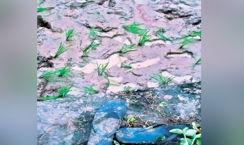 ശി​വ​രാ​മ​ൻ ന​ട​ന്ന​ക​ന്ന​ത് മ​ര​ണ​ത്തി​ലേ​ക്ക്;   ക​ണ്ണീ​രു​ണ​ങ്ങാ​തെ നാ​ട്