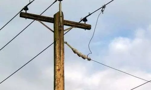 പൊട്ടിവീണ വൈദ്യുതി ലൈനില്‍നിന്ന്​ ഷോക്കേറ്റ്​ പശു ചത്തു