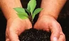 ഹരിയാലി മഹോത്സവ് പദ്ധതിക്ക് കടലുണ്ടിയിൽ തുടക്കം