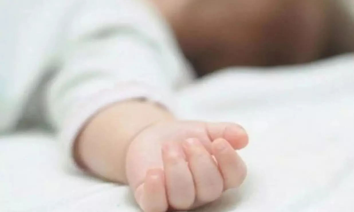 ഉറങ്ങിക്കിടന്ന നാലര വയസുകാരൻ പാമ്പുകടിയേറ്റ് മരിച്ചു