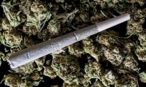 കഞ്ചാവുമായി യുവാക്കൾ പിടിയിൽ