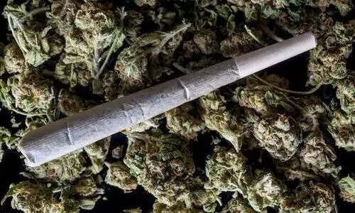 കഞ്ചാവുമായി യുവാക്കൾ പിടിയിൽ