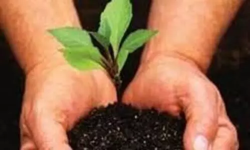 ഹരിയാലി മഹോത്സവ് പദ്ധതിക്ക് കടലുണ്ടിയിൽ തുടക്കം